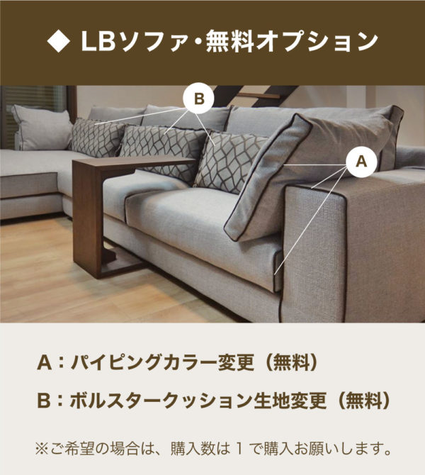 WP_LB_オプション・クッション変更