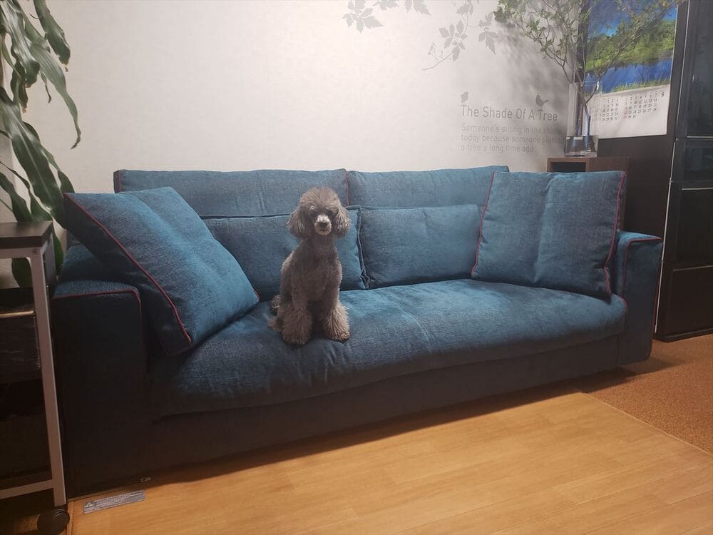 LB SOFA