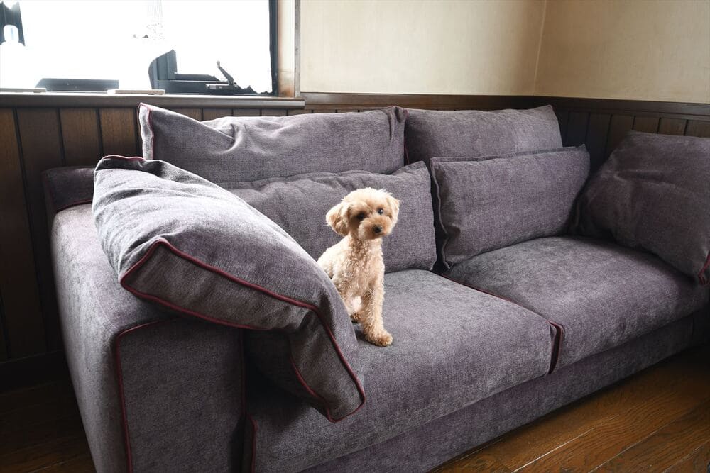 LB SOFA