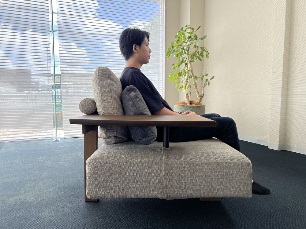 LD SOFAの商品写真