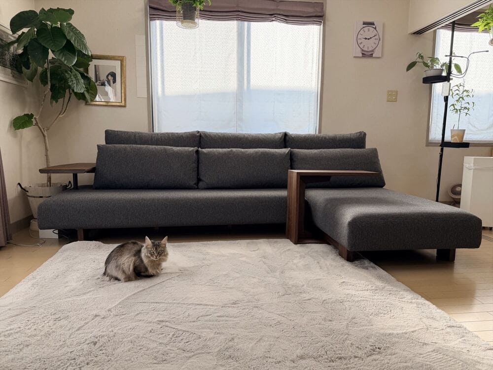 LD カウチソファとペット