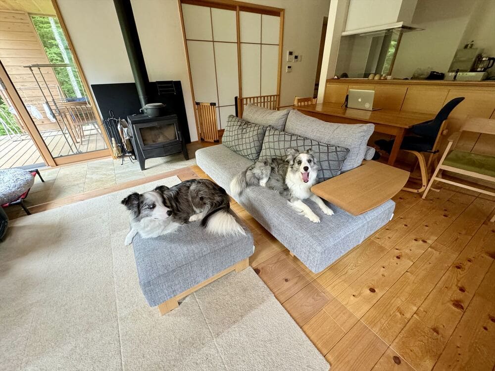 LD SOFAとペット