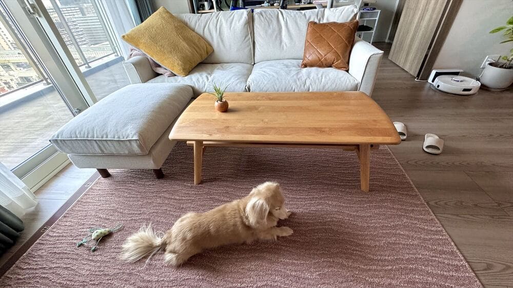 PG SOFAとペット