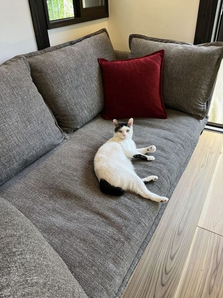 RX-G SOFAとペットの納品事例
