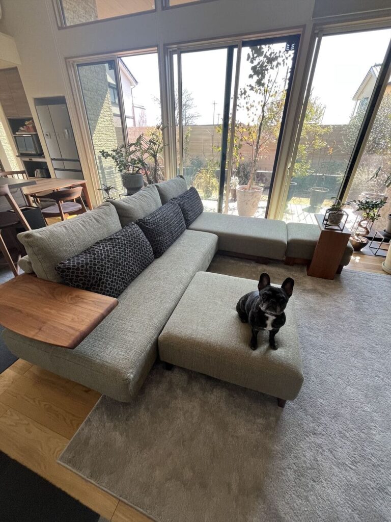 LD カウチソファとペット