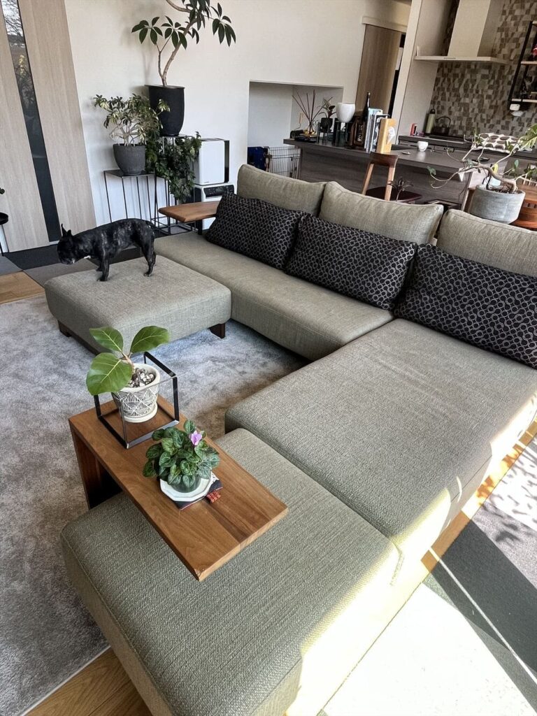 LD カウチソファとペット