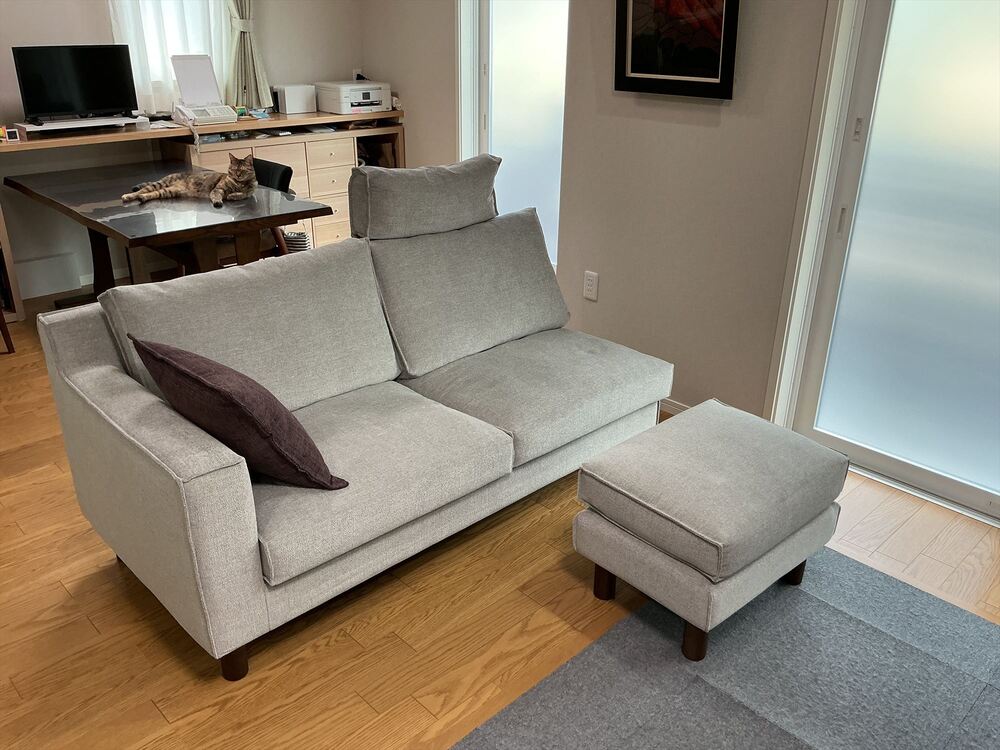 RX-D SOFAの
